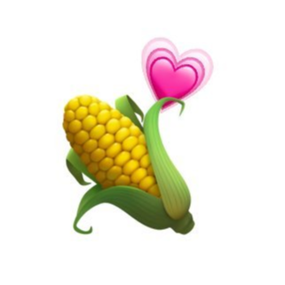 CORN,玉米,CORN